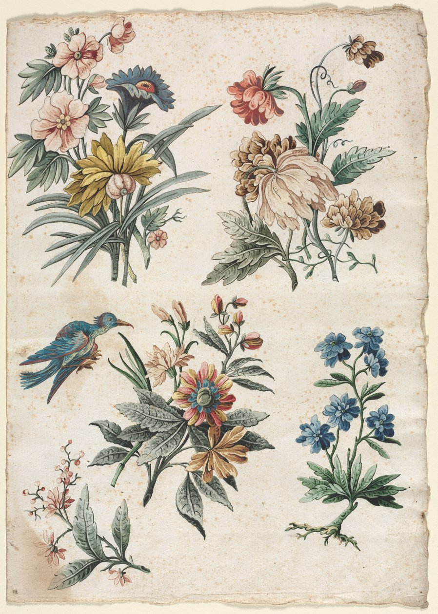 Kukkakuvioita sinisen linnun kanssa, c. 177374. tekijältä Giacomo Cavenezia