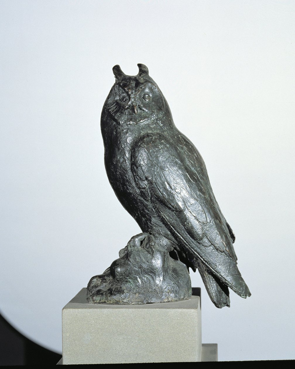 Pöllö (pronssi) tekijältä Giambologna