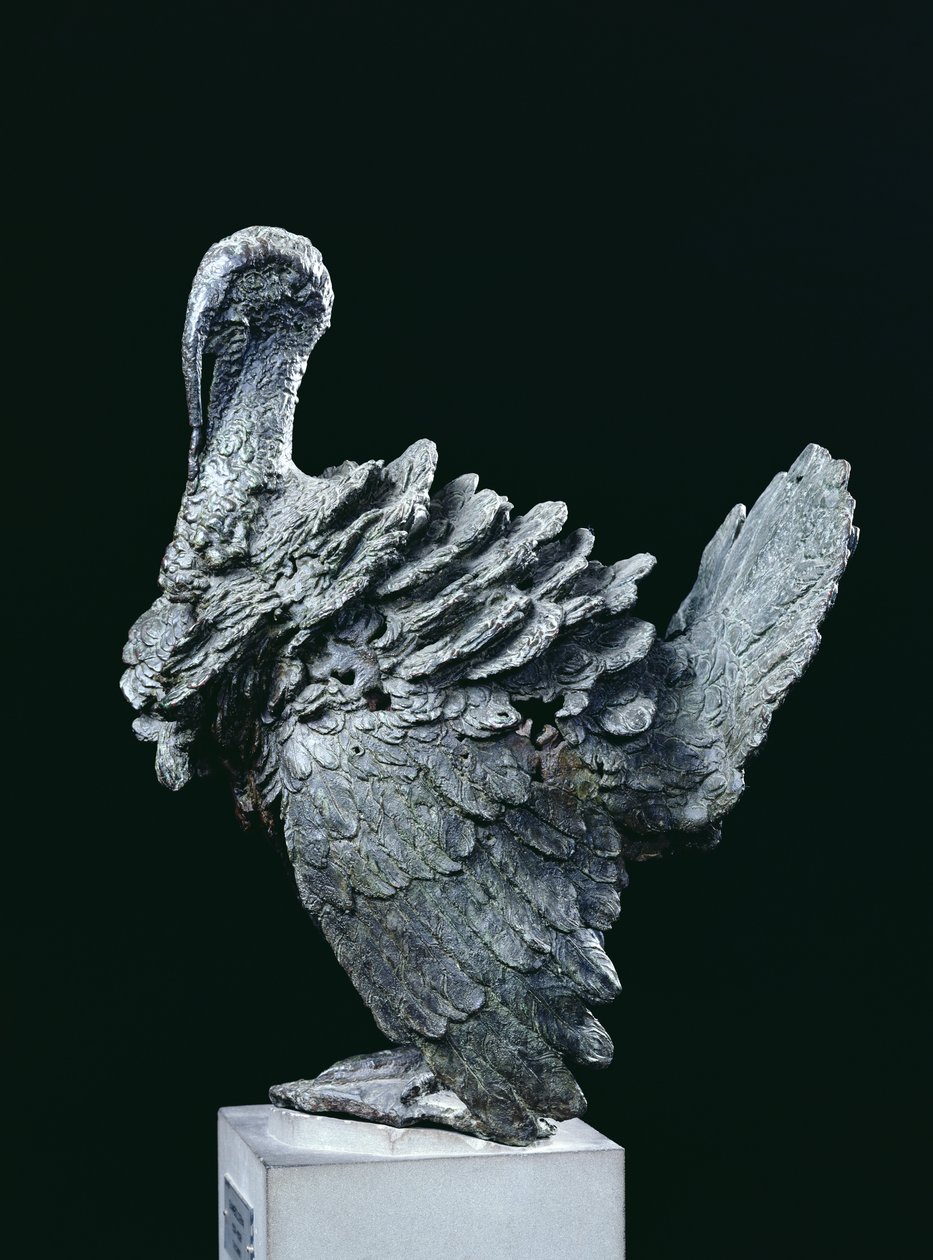 Turkki (pronssi) tekijältä Giambologna