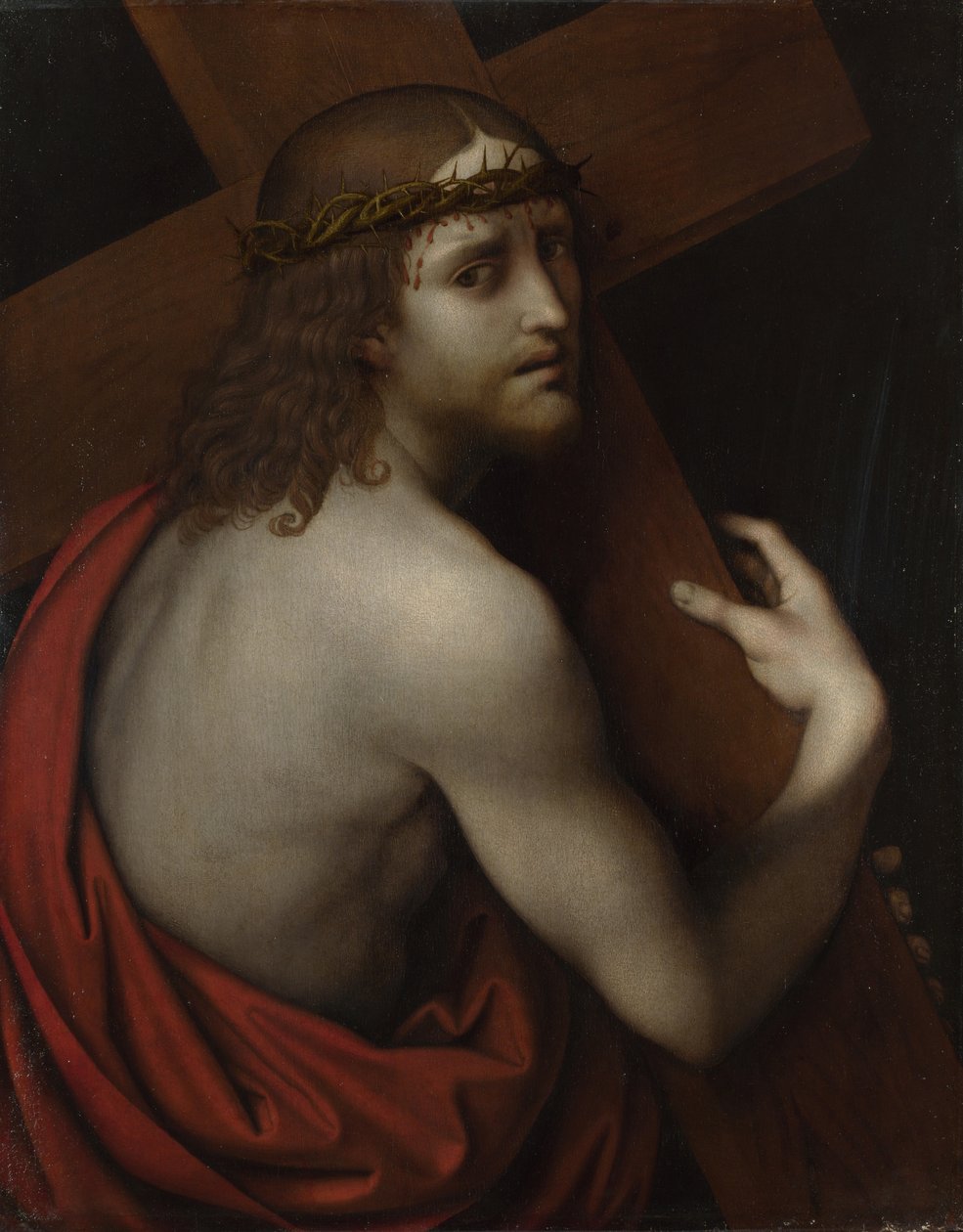 Kristus kantaa ristiä, n. 1518-1525 tekijältä Giampietrino