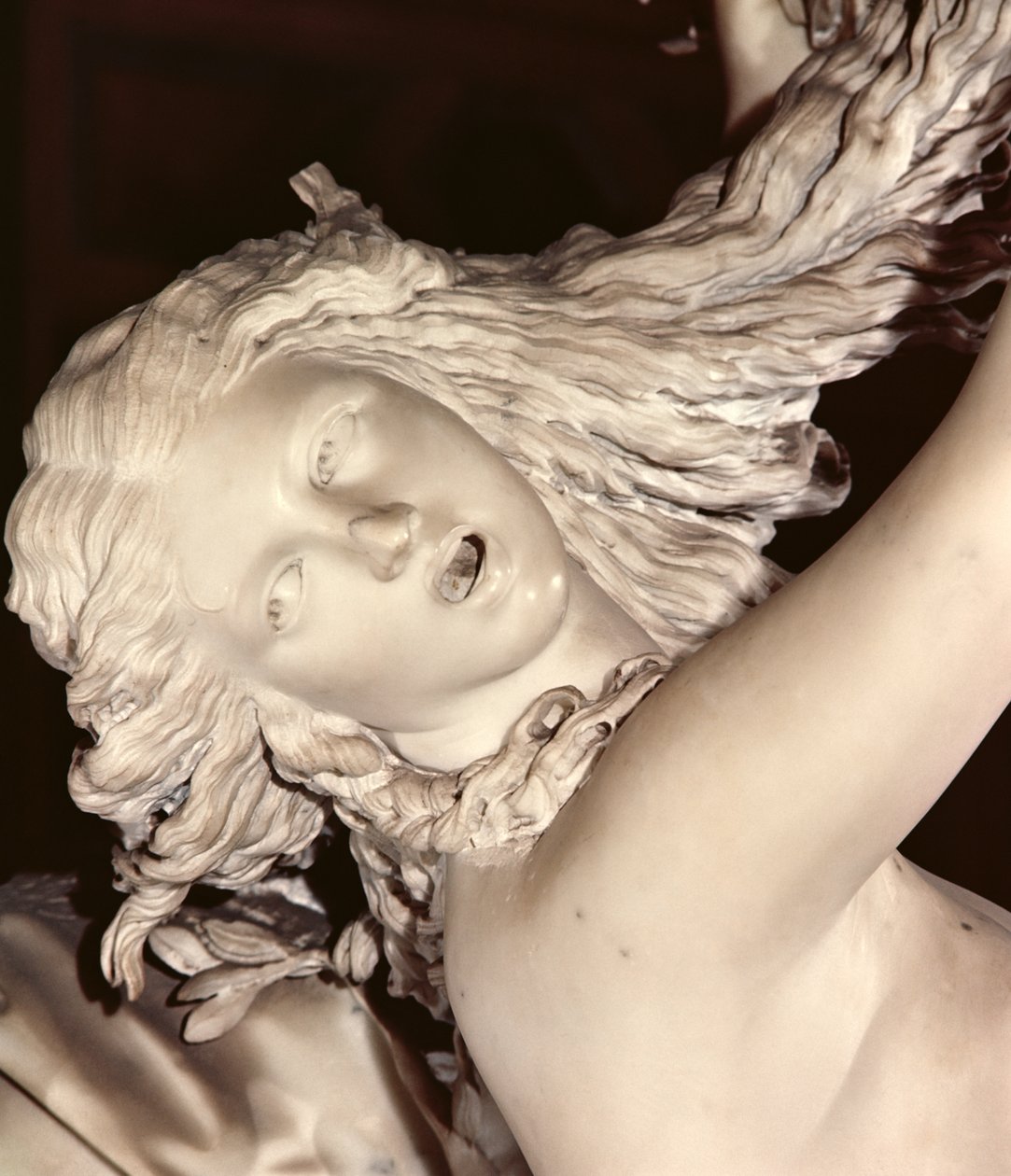 Apollo ja Daphne, Daphnen pään yksityiskohta, 1622-25 marmori tekijältä Gian Lorenzo Bernini