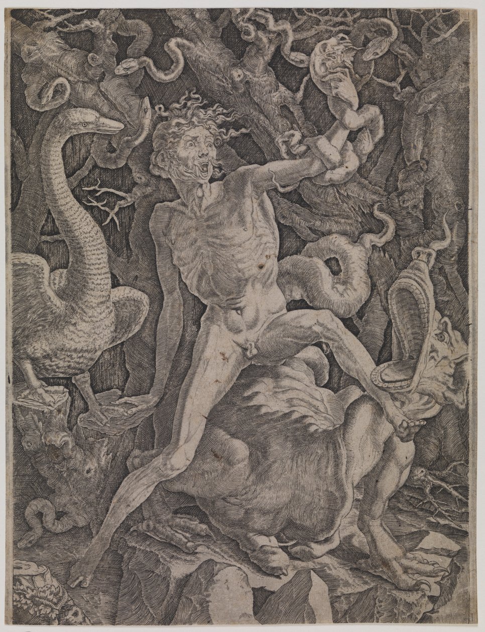Vihon allegoria tekijältä Gian Jacopo Caraglio