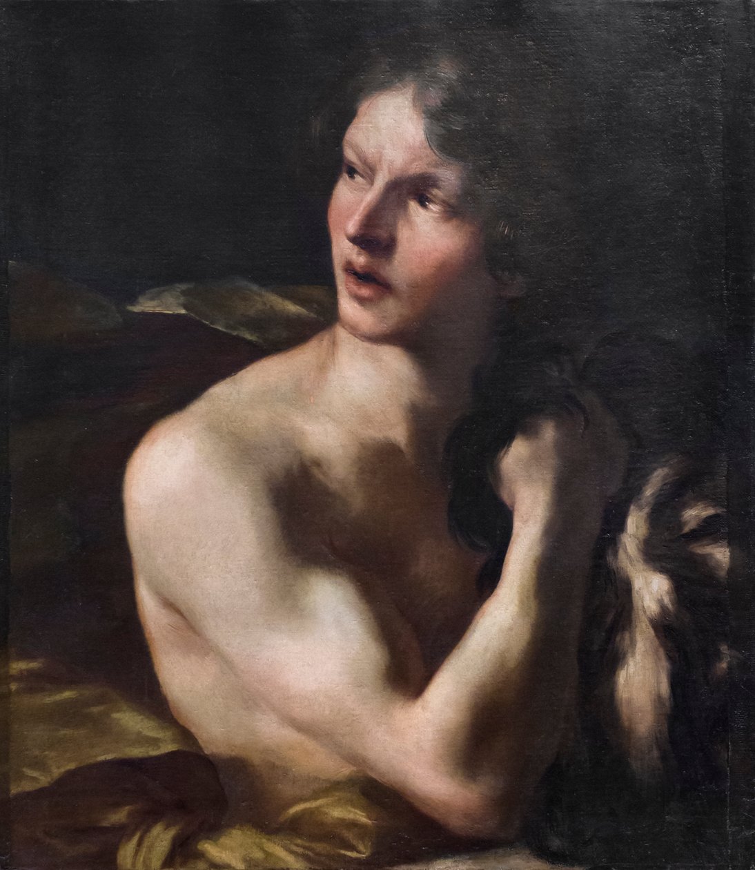 David tekijältä Gian Lorenzo Bernini