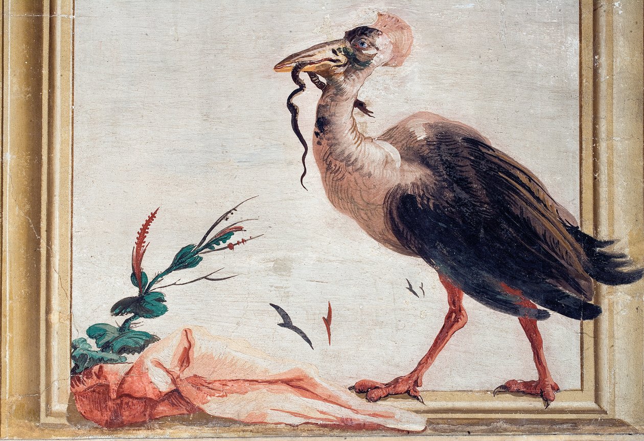 Kasuari, joka pitää käärmettä nokassaan, Foresterian kiinalaisesta huoneesta, 1757 tekijältä Giovanni Domenico Tiepolo