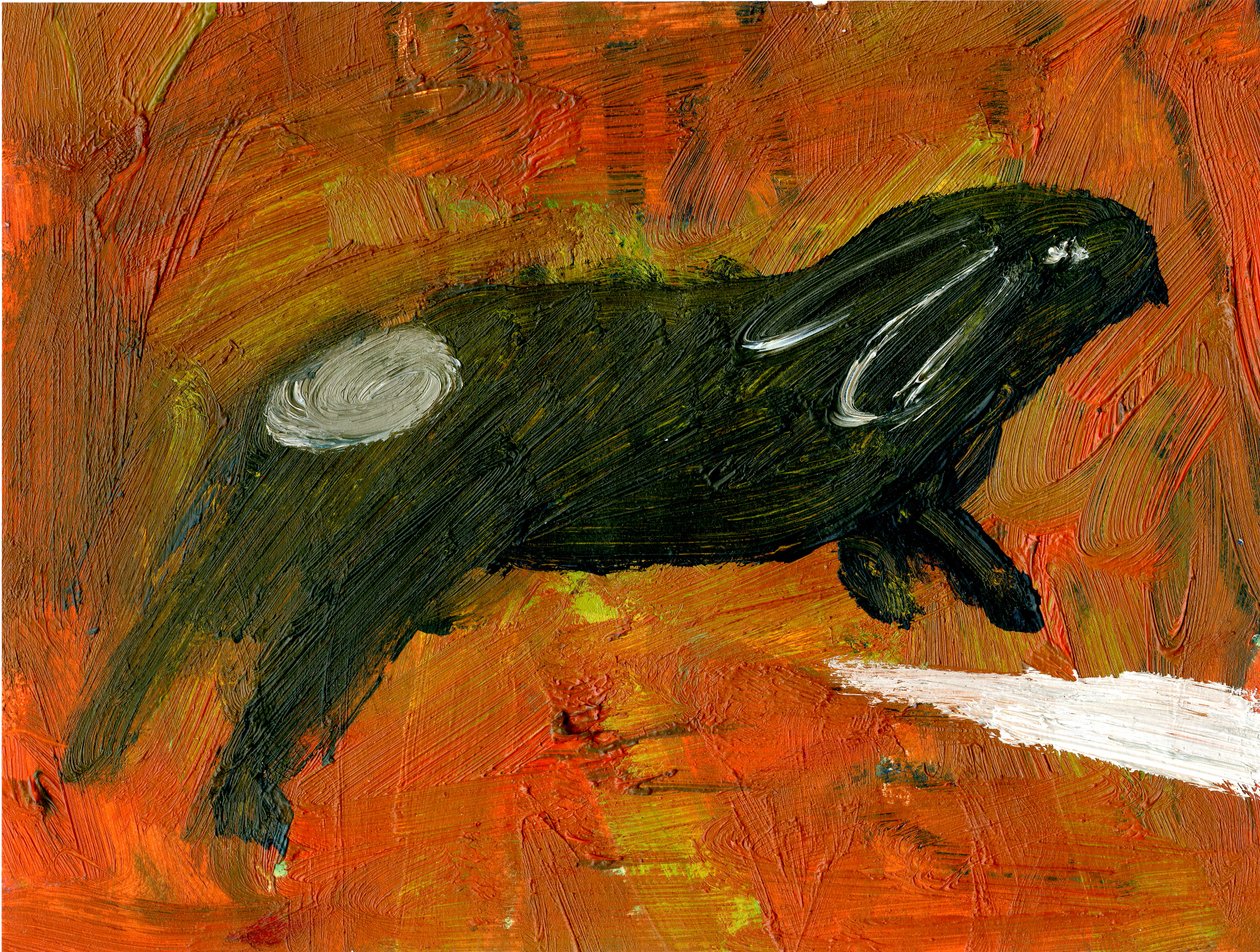 Kani, 2005, (öljy paperille) tekijältä Gigi Sudbury