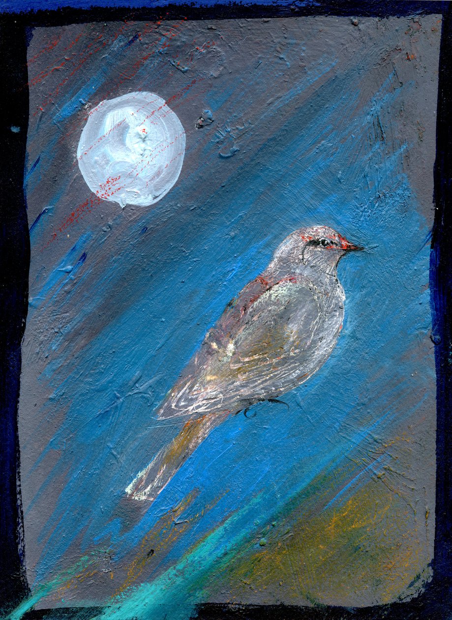Moon Bird, 2016, (öljy paperille) tekijältä Gigi Sudbury