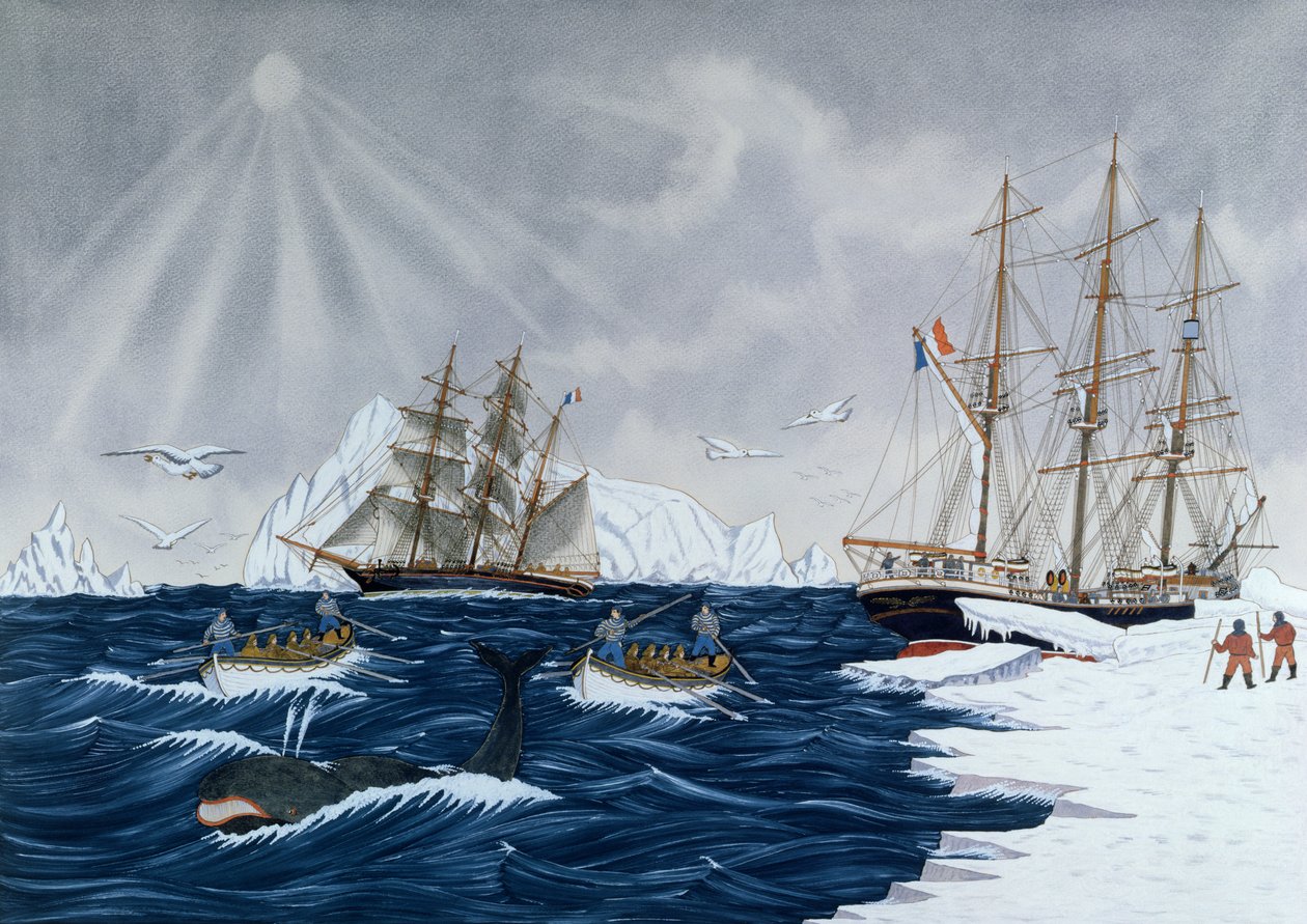 Valaanpyynti, 1800-luku (värikaiverrus) tekijältä Gilbert Pajot