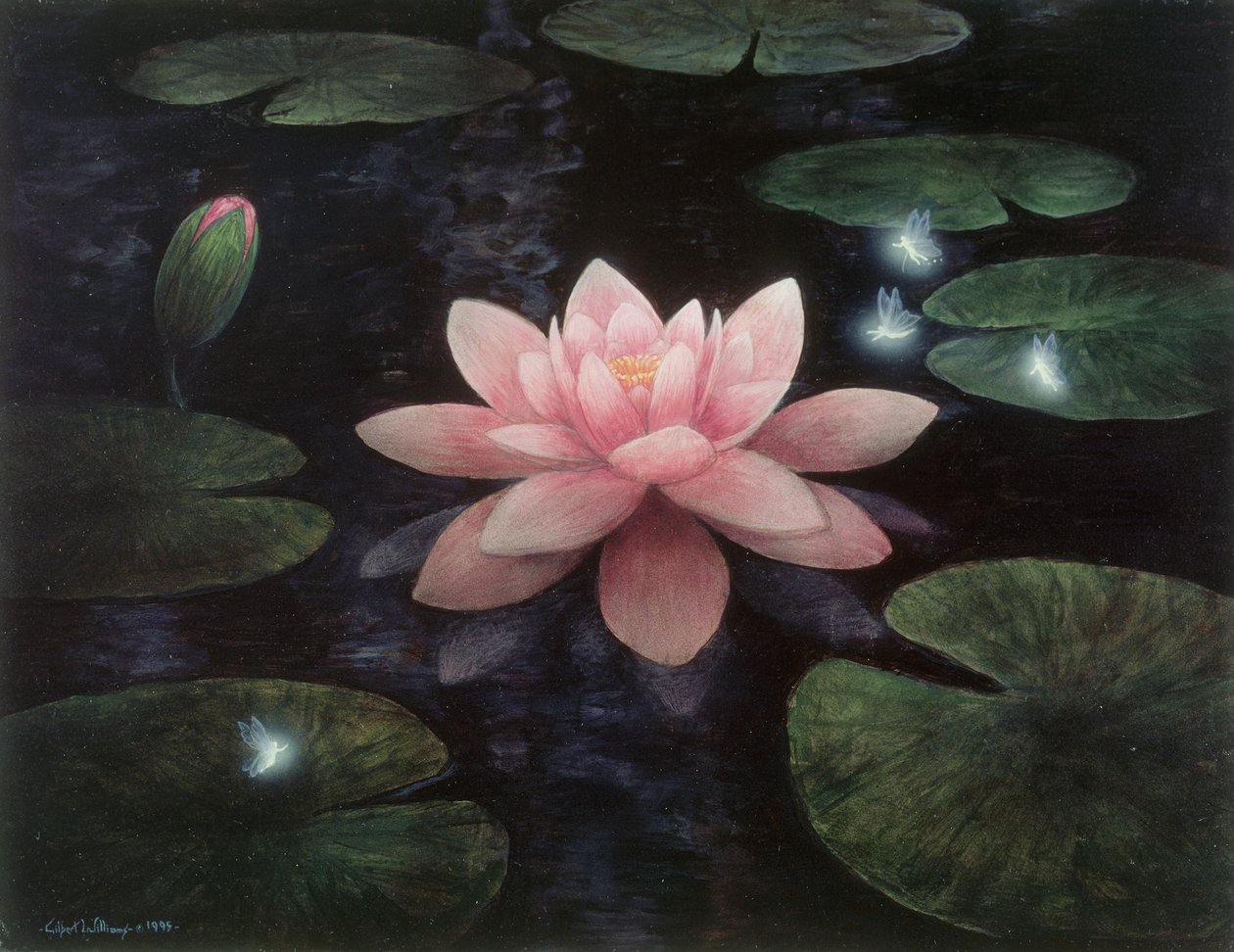 Lotus sprites tekijältä Gilbert Williams