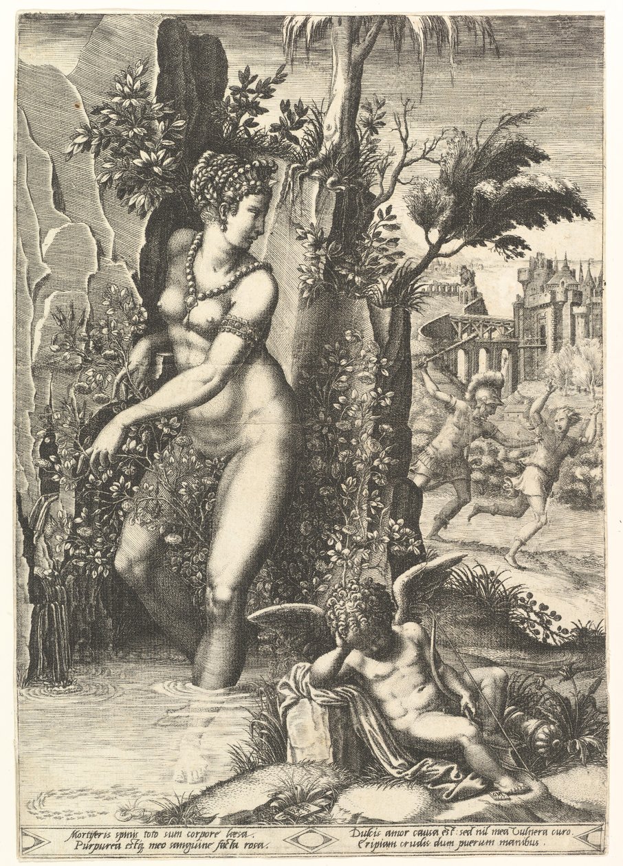 Ruusupensaan piikkien piiskaama Venus, taustalla Mars jahtaamassa Adonia, vuonna ..., 1556. tekijältä Giorgio Ghisi