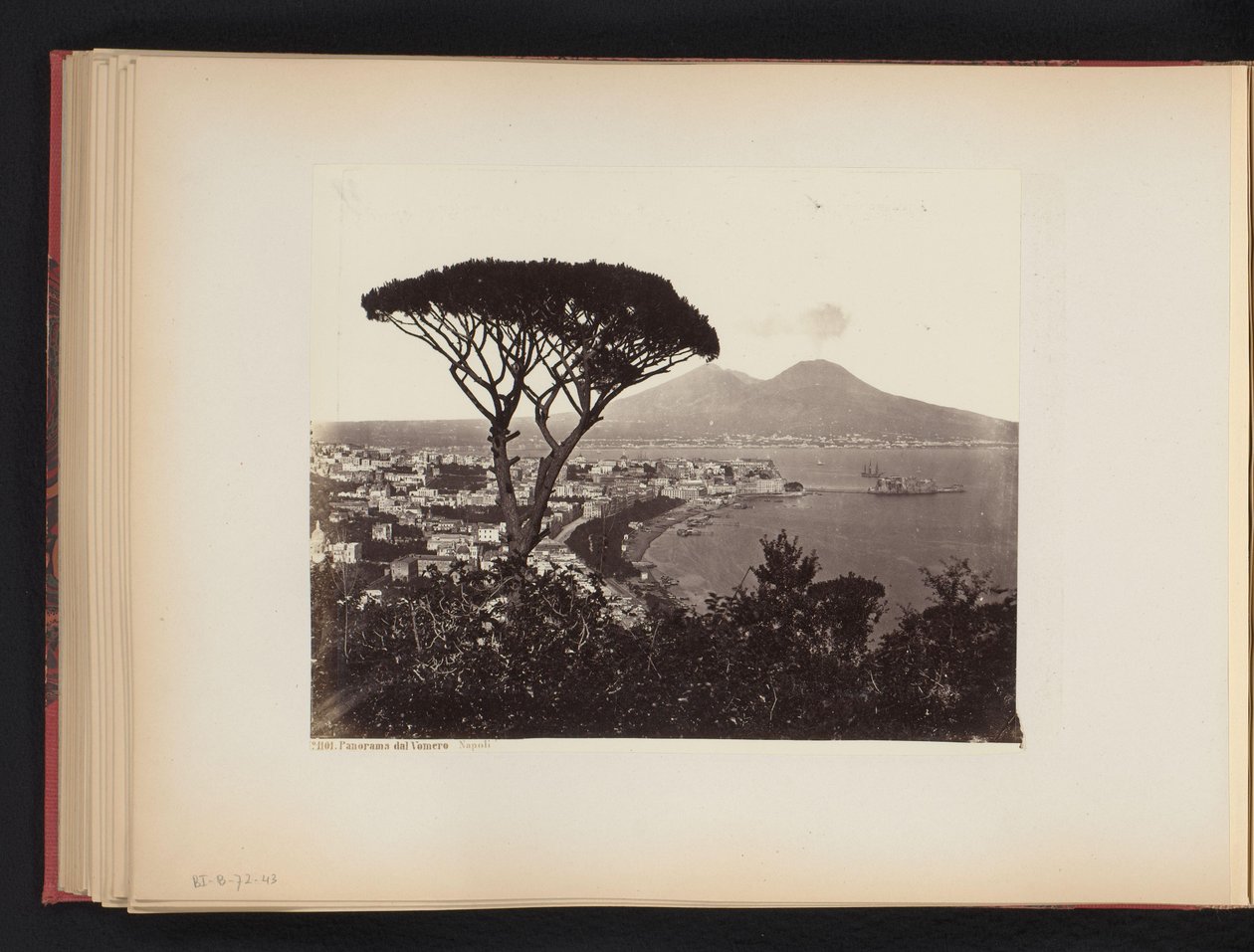 Näkymä Napoliin, Italiaan, mänty etualalla Panorama Valley Vomero Napoli (otsikko esineessä) tekijältä Giorgio Sommer