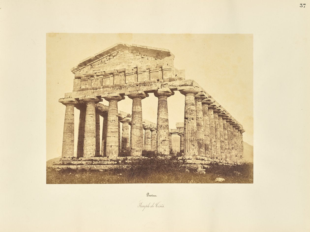 Paestum. Cereksen temppeli tekijältä Giorgio Sommer