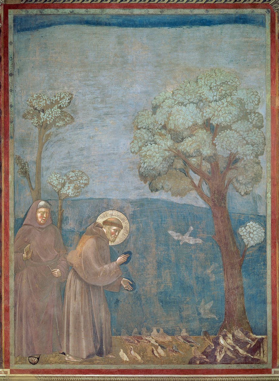 Pyhä Franciscus saarnaa linnuille, 1297-1299 tekijältä Giotto di Bondone