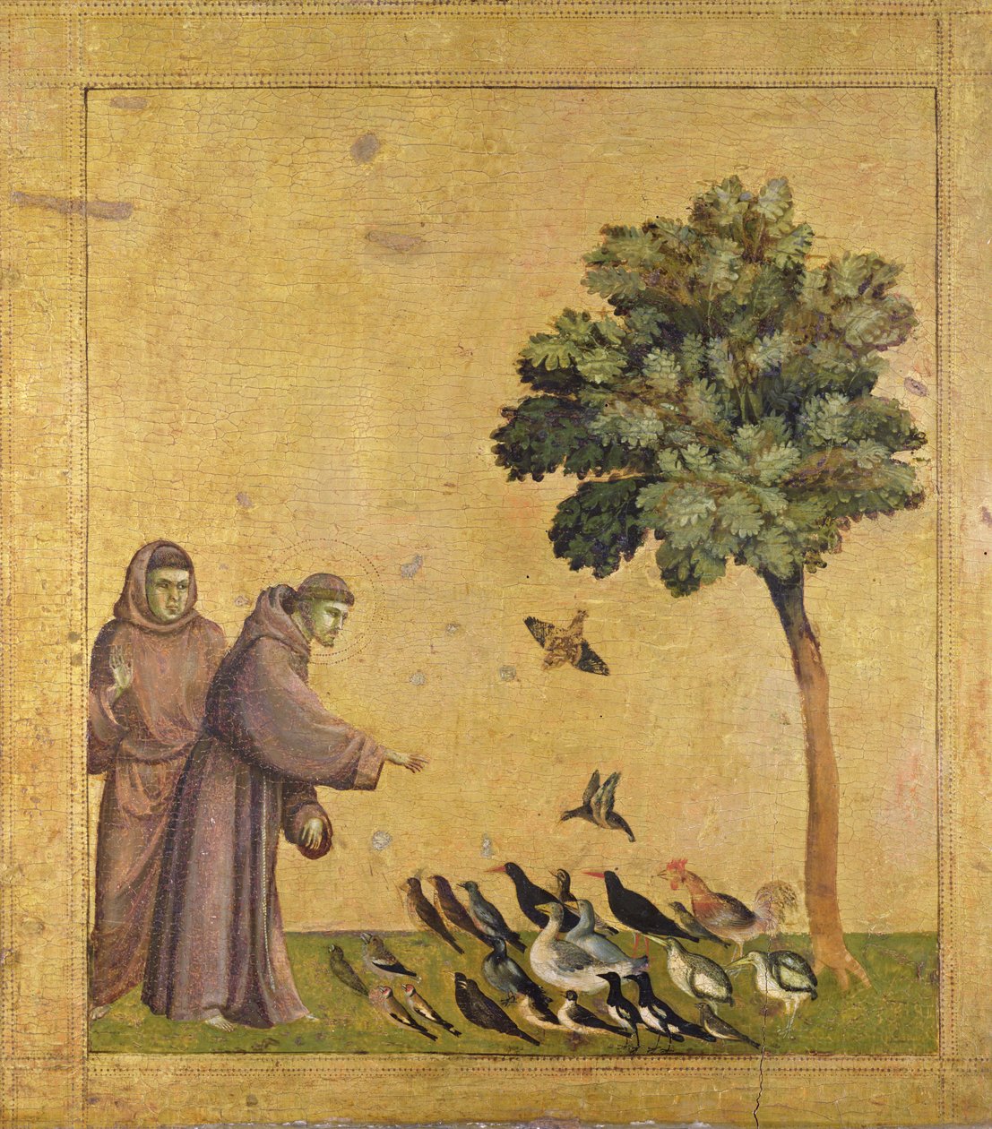 Pyhä Franciscus Assisilainen saarnaa linnuille (öljy paneelissa) tekijältä Giotto (c.1266 1337)