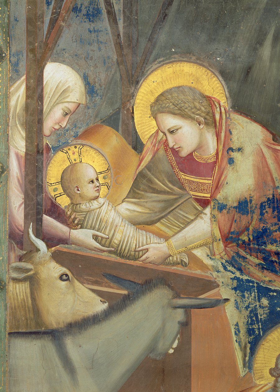 Syntymäjumalanpalvelus, noin 1305 (fresko) (yksityiskohta kuvasta 65197) tekijältä Giotto (c.1266 1337)