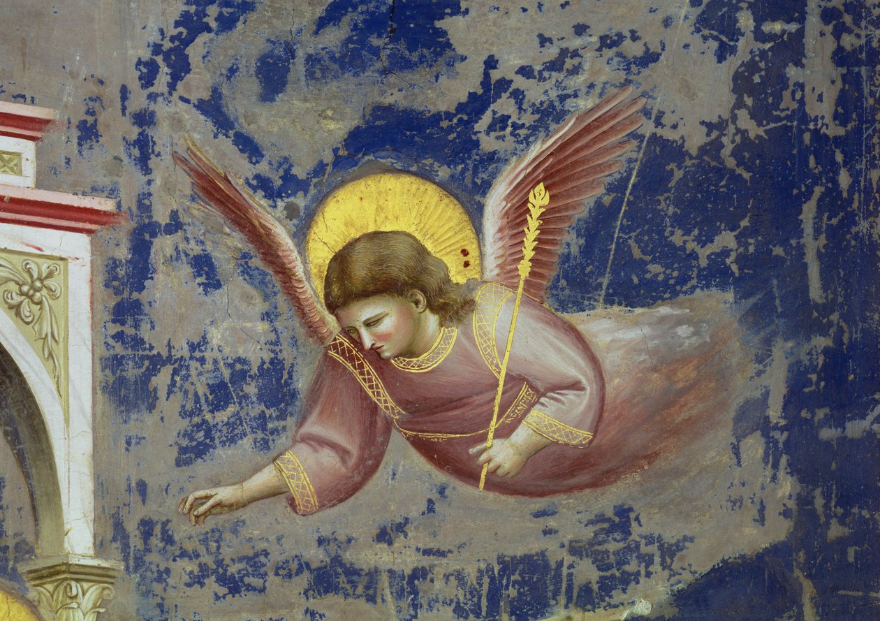 Enkeli, Kristuksen esittäytyminen temppelissä, noin 1305 (fresko) (yksityiskohta kuvasta 65195) tekijältä Giotto (c.1266 1337)