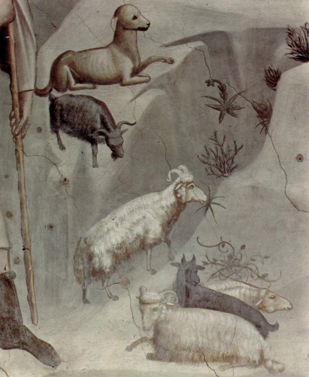 Kohtauksia Joakimin elämästä: 5. Joakimin uni

 (yksityiskohta) tekijältä Giotto