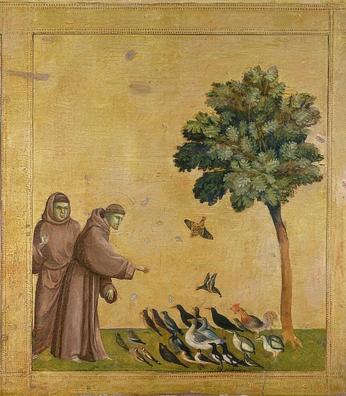 Pyhä Franciscus saarnaa linnuille. Noin 1295-1300 (Predella, katso myös kuva numero 19398) tekijältä Giotto di Bondone
