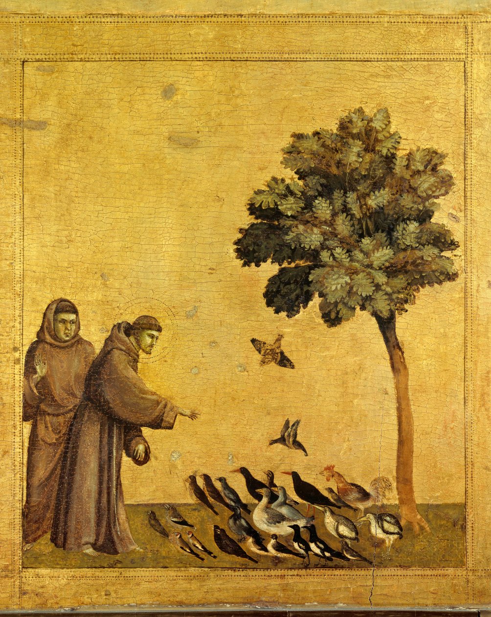 Pyhä Francois Assisilainen saarnaa lintuja. Yksityiskohta stigmat vastaanottavan Pyhän Franciscus Assisilaisen esikuvasta. Giotto Di Bondonen maalaus tekijältä Giotto di Bondone