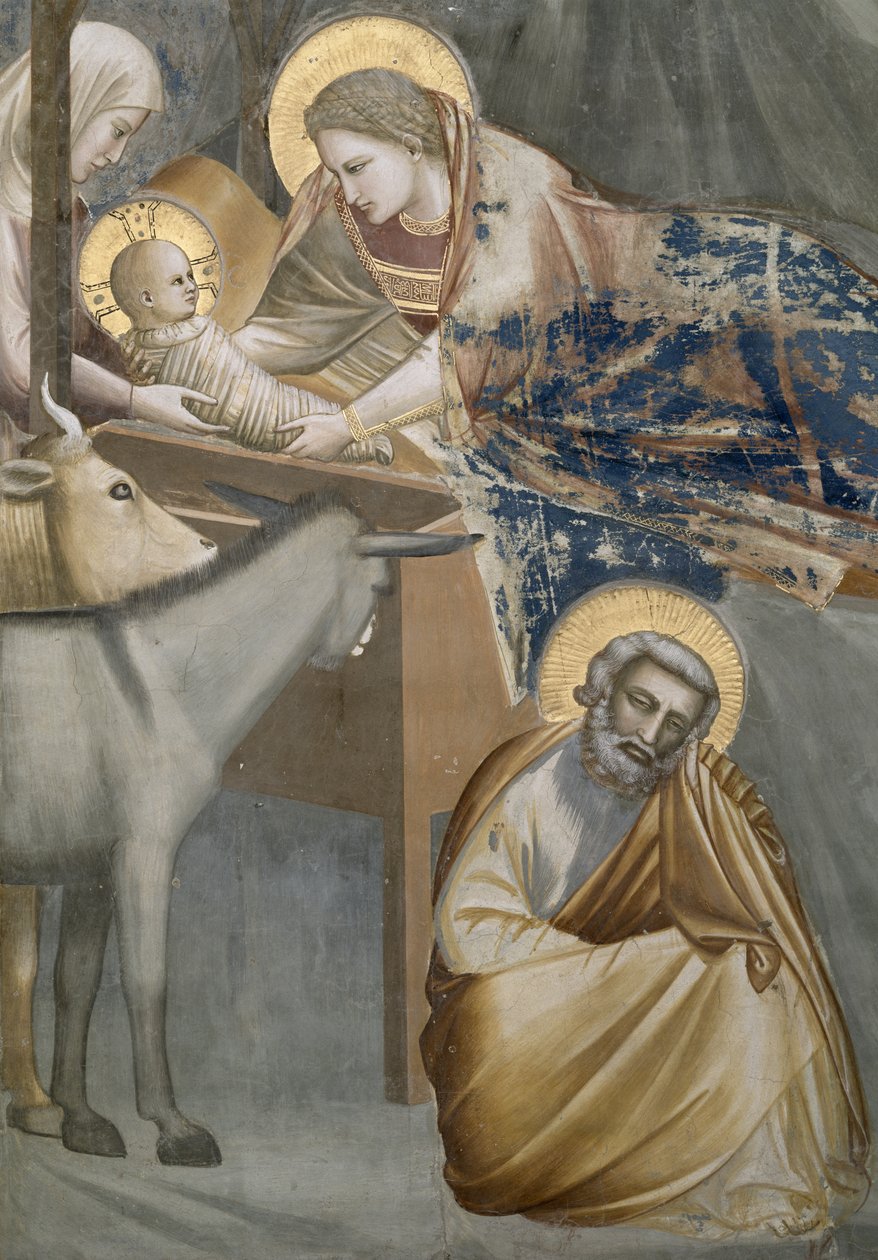 Syntymä, yksityiskohta Neitsyestä ja Lapsesta, aasista ja Joosefista, 1303-05 (kunnostuksen jälkeen) tekijältä Giotto di Bondone