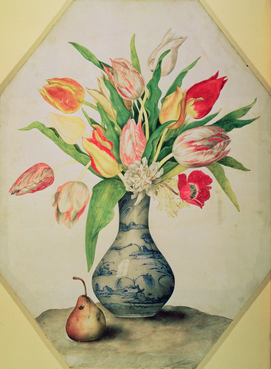 Sininen kiinalainen tulppaanimaljakko (tempera vellum) tekijältä Giovanna Garzoni