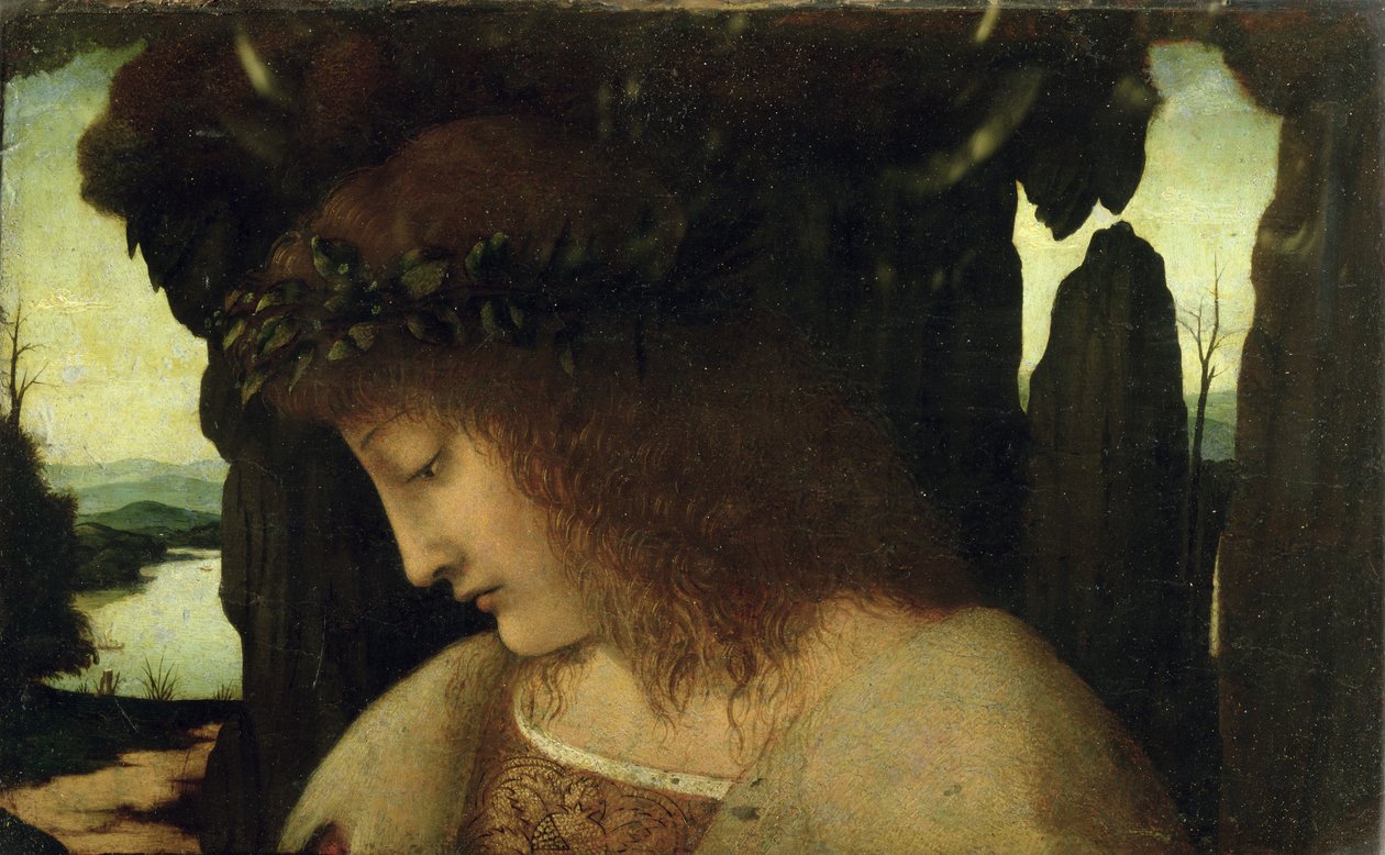 Narcissus suihkulähteellä tekijältä Giovanni Antonio Boltraffio