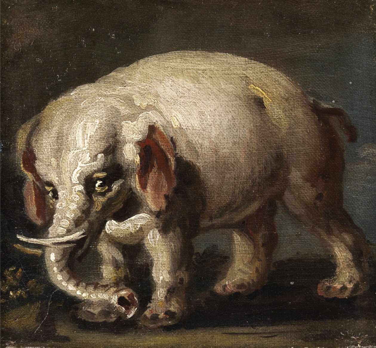 Elefant tekijältä Giovanni Antonio Guardi