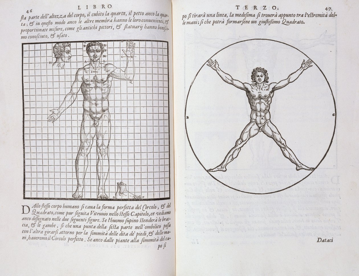 Ihanteelliset ihmiskehoon perustuvat mittasuhteet, Della Architettura, ilmestynyt 1590 tekijältä Giovanni Antonio Rusconi