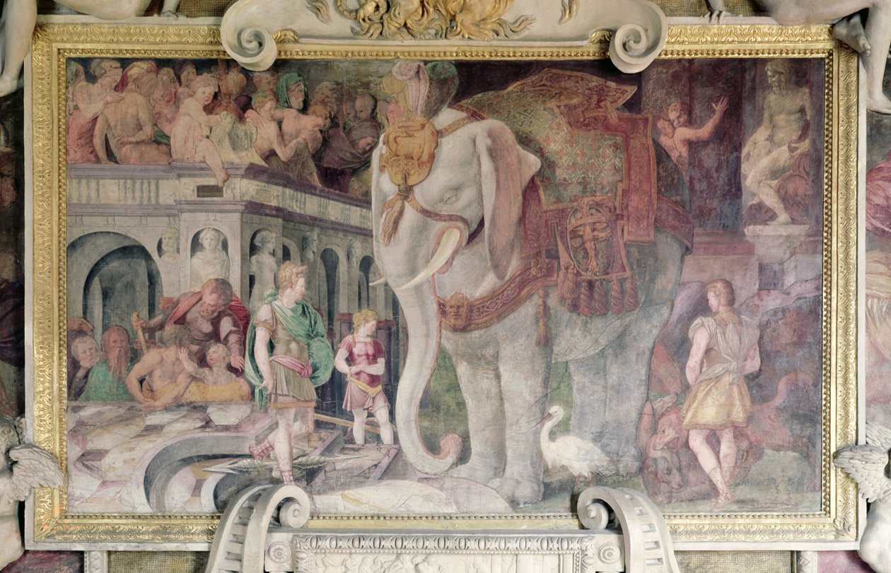 Kuninkaallinen norsu, Francis I:n galleriasta (1494-1547) tekijältä Giovanni Battista Rosso Fiorentino