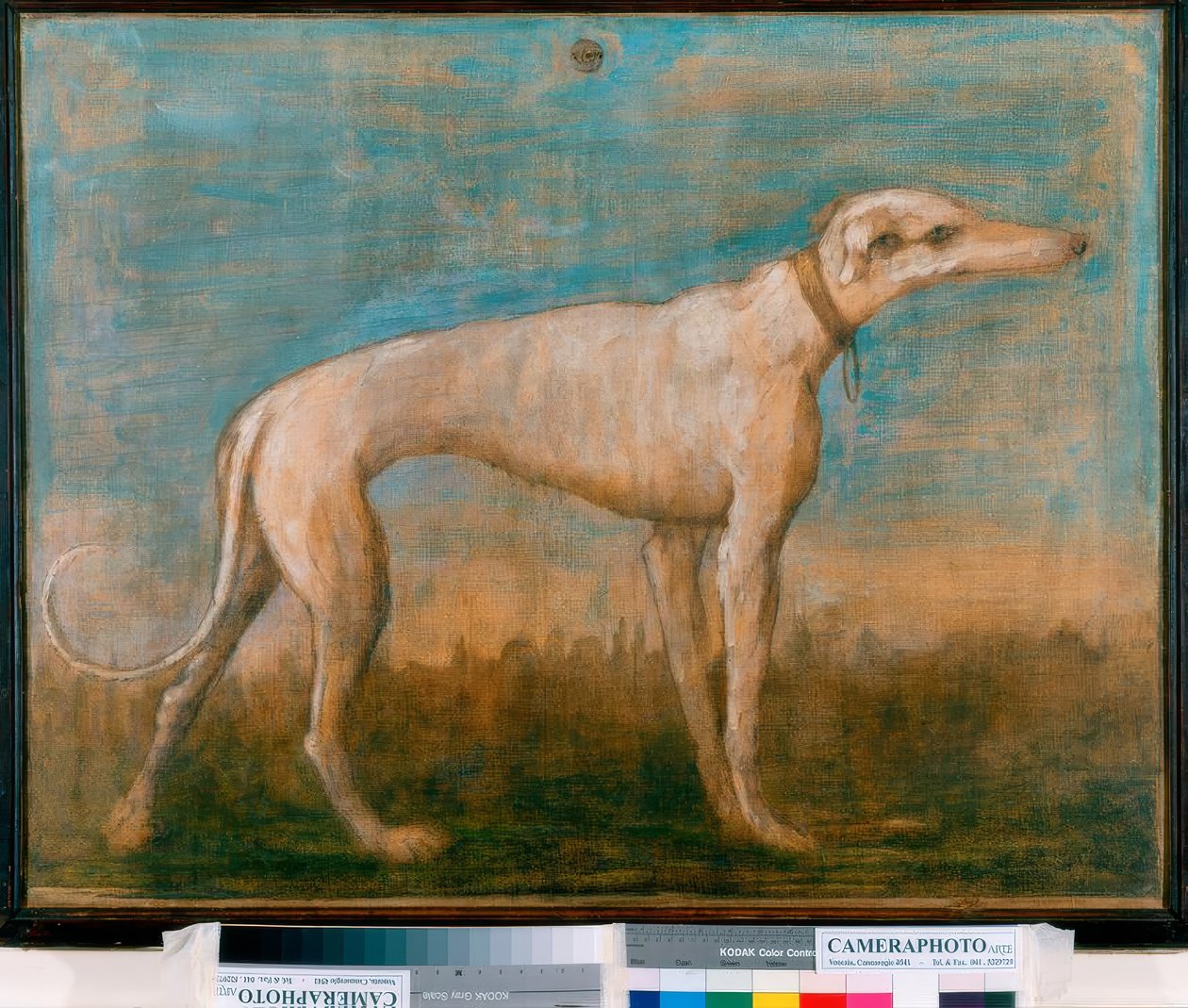 Windhund tekijältä Giovanni Battista Tiepolo