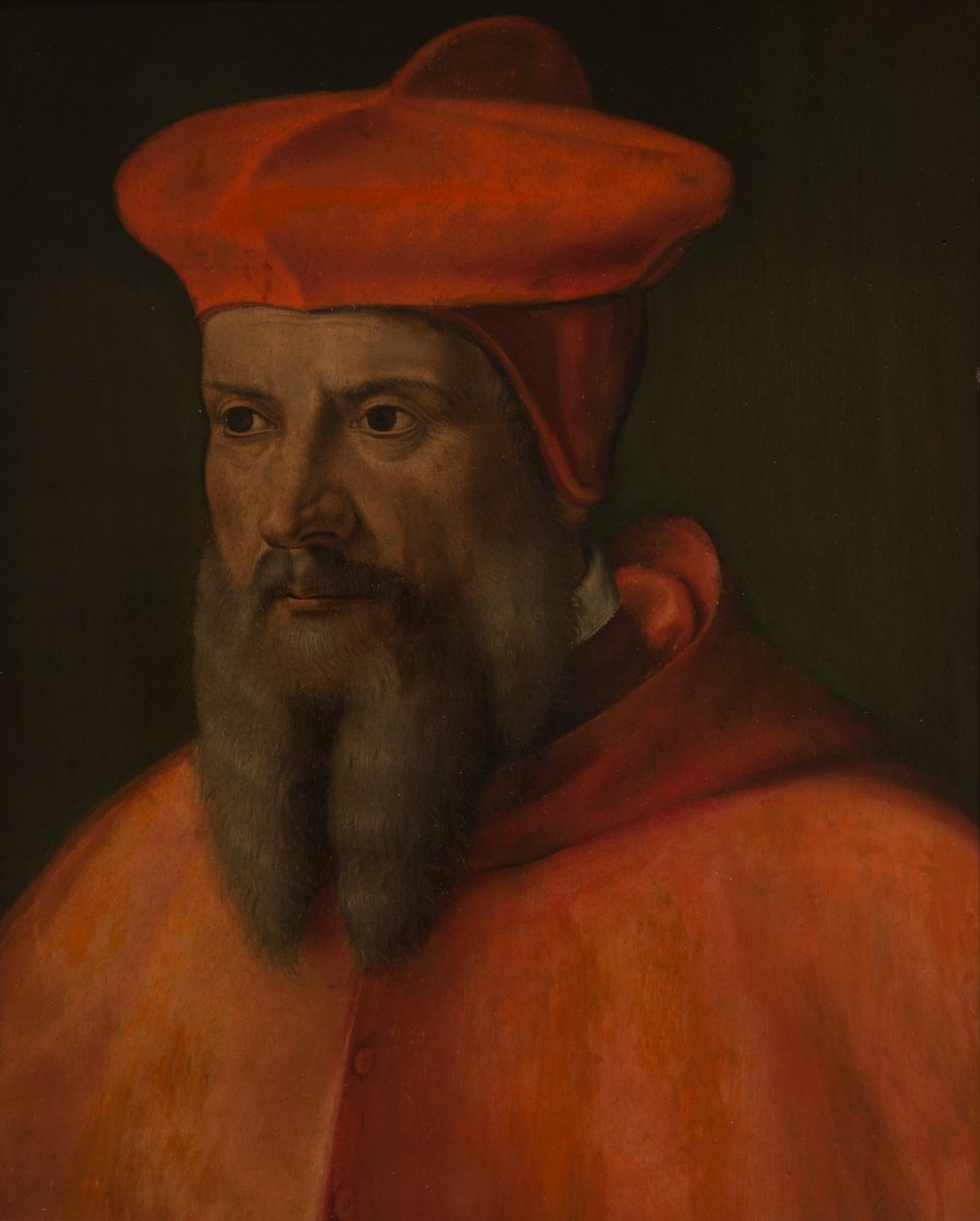 Kardinaali de Tournon tekijältä Giovanni Capassini