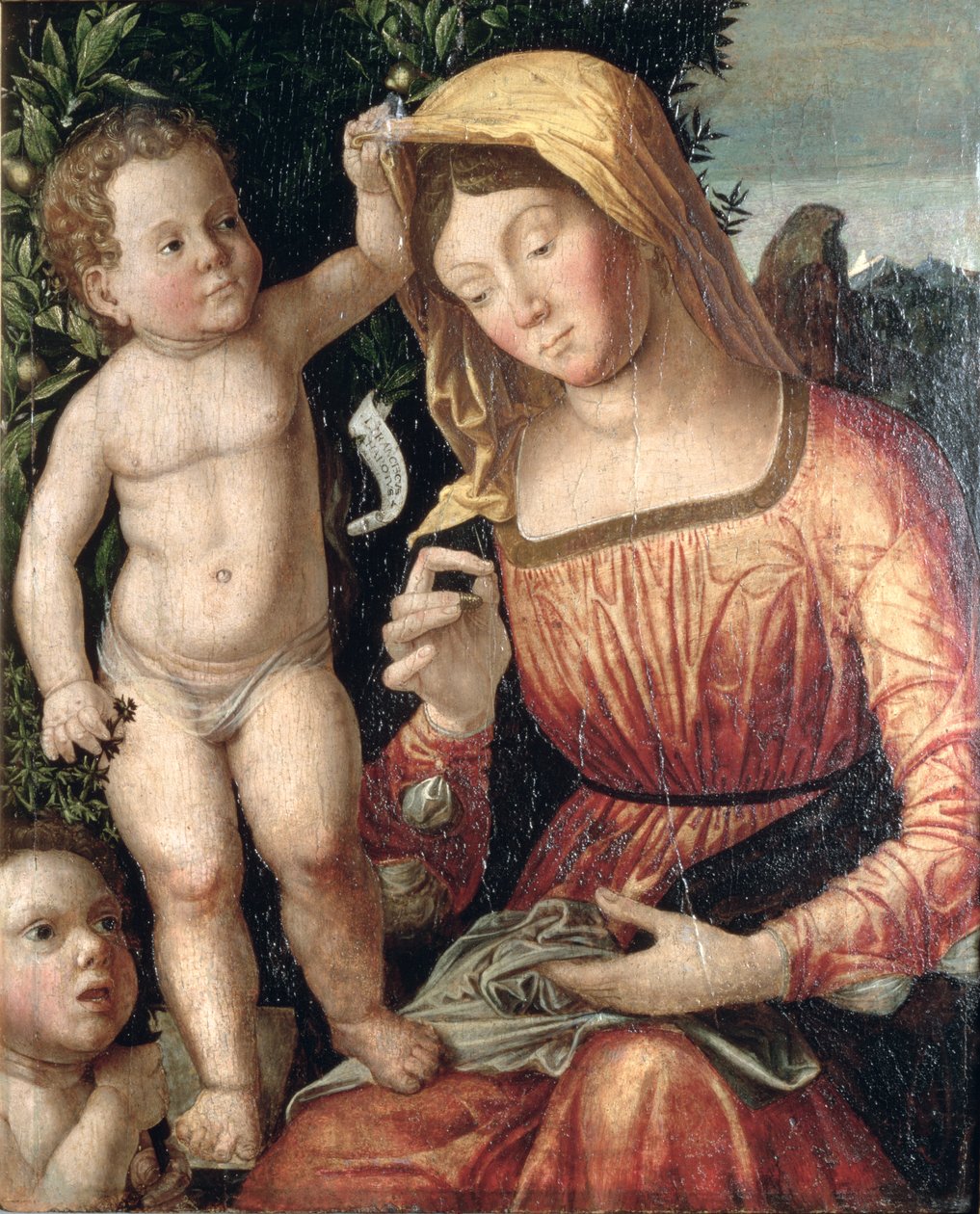 Madonnan ompelu tekijältä Giovanni Francesco Caroto