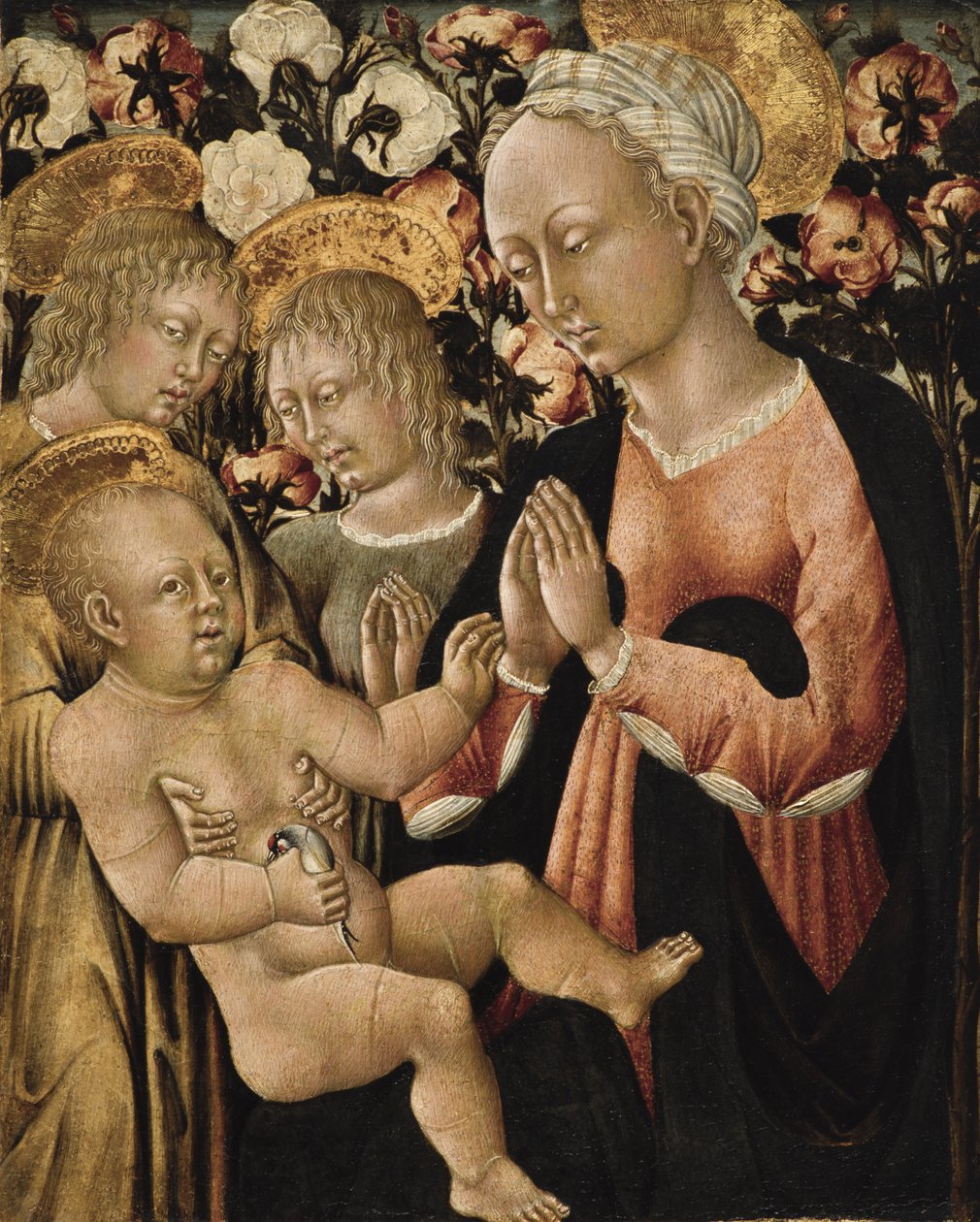 Madonna ja lapsi enkelien kanssa, n. 1475 (tempera paneelissa) tekijältä Giovanni di Paolo