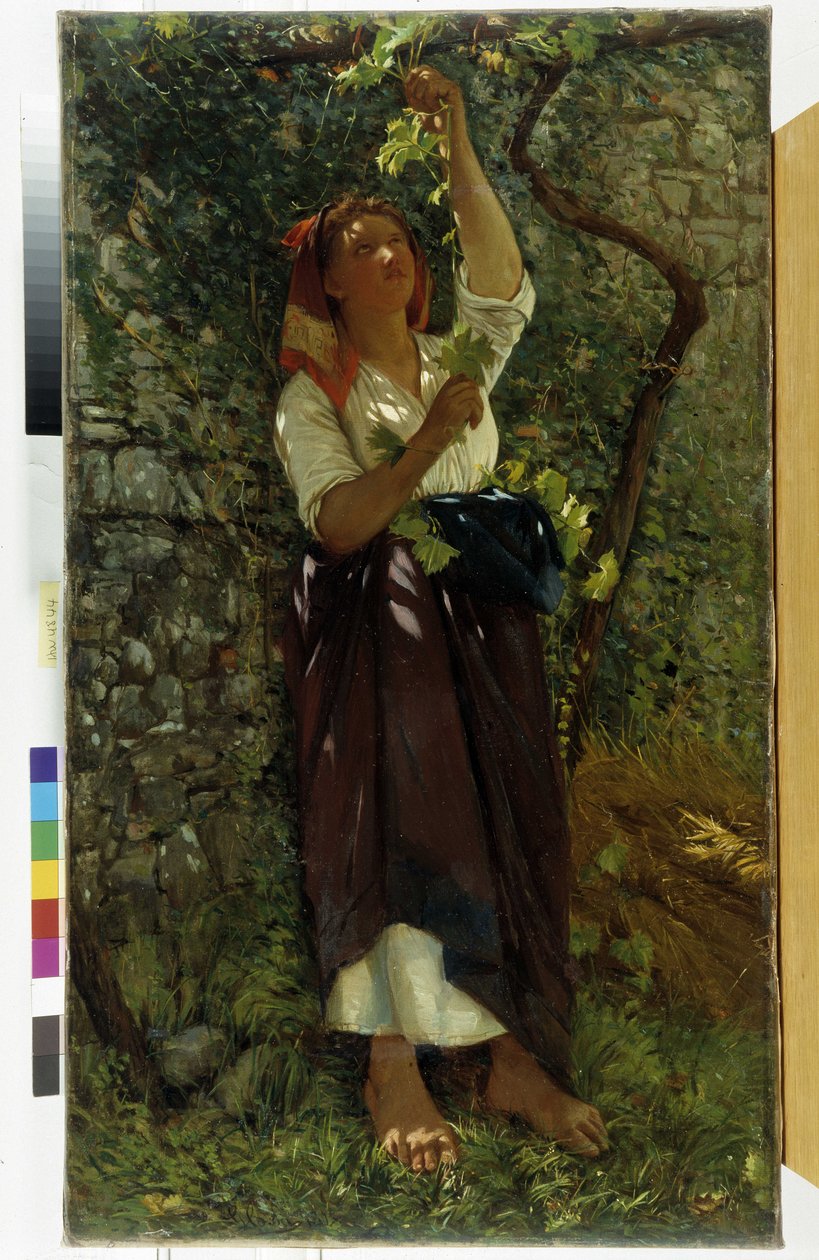 Giovanni Costan (1833-1902) maalaus The Pruning of Vines (1833-1902) Pakollinen maininta: Collection Fondation Regards de Provence, Marseille tekijältä Giovanni Costa