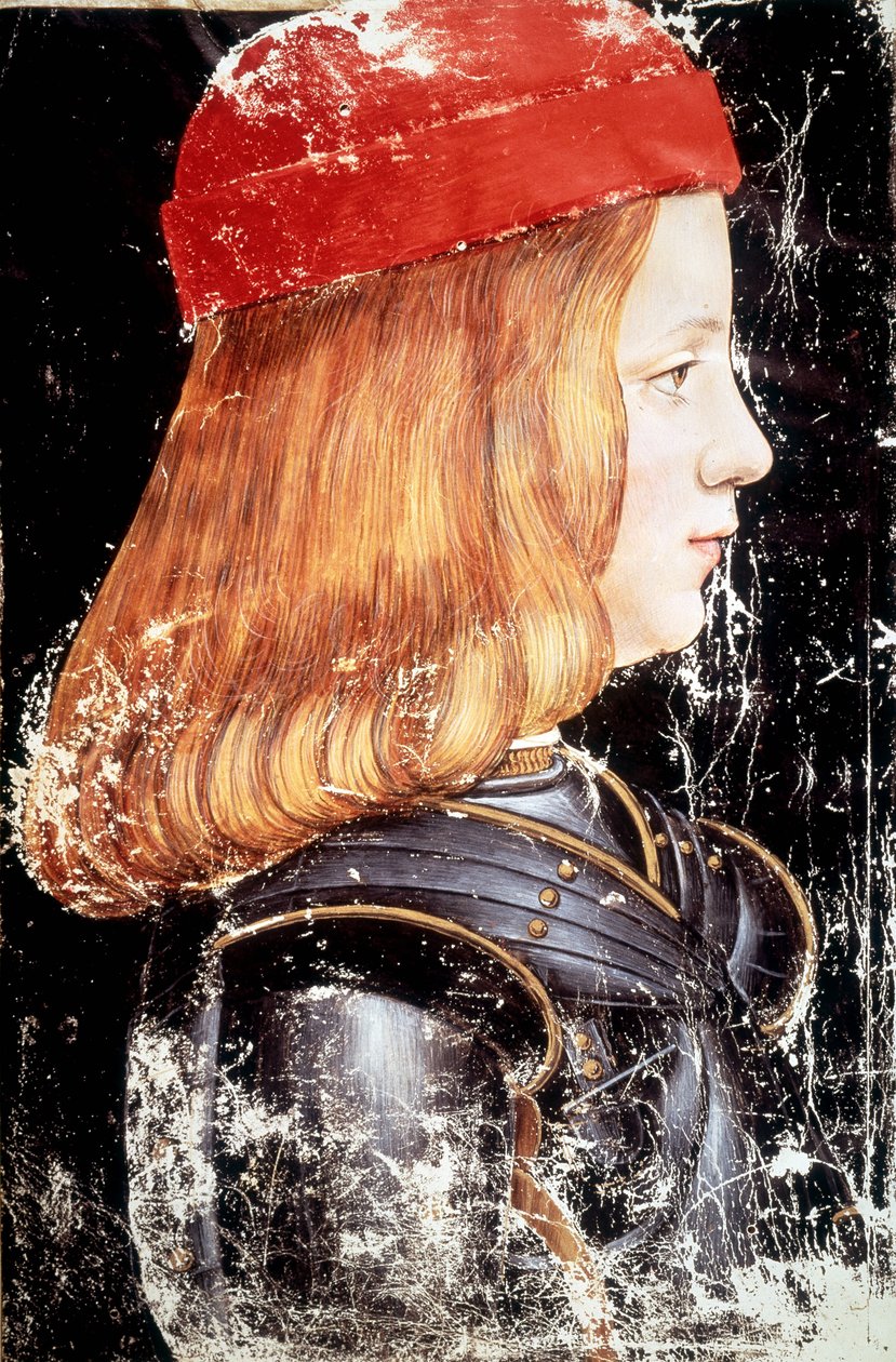 Maximilian Sforzan (1490 - 1530) muotokuva. Miniatyyri Giovanni Ambrogio De Predis (v. 1455 - 1508). tekijältä Giovanni Ambrogio de Predis