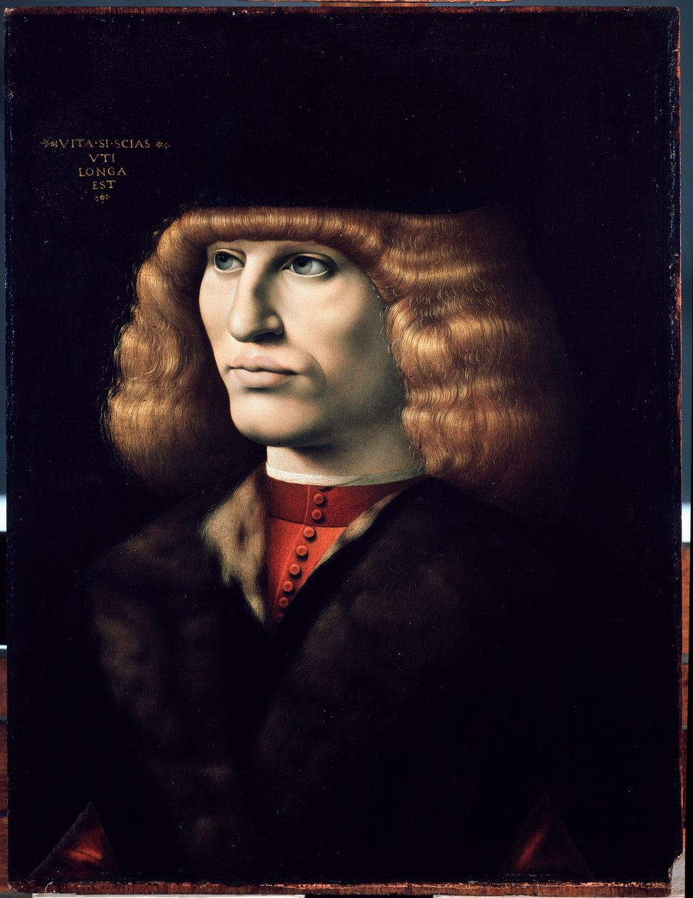 Nuoren miehen muotokuva, noin 1495 (öljy puulle) tekijältä Giovanni Ambrogio de Predis