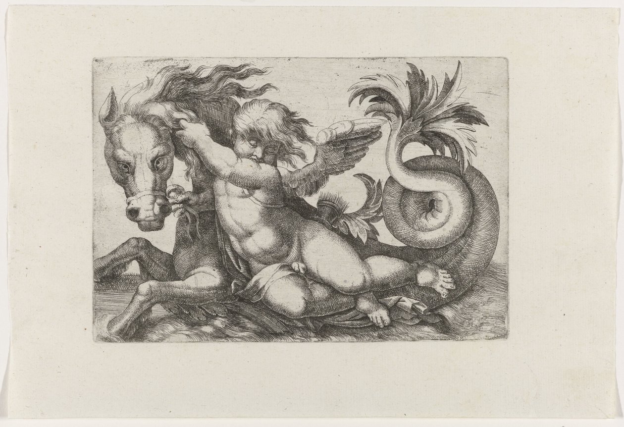 Putto ratsastus merihevosella tekijältä Giovanni Andrea Maglioli