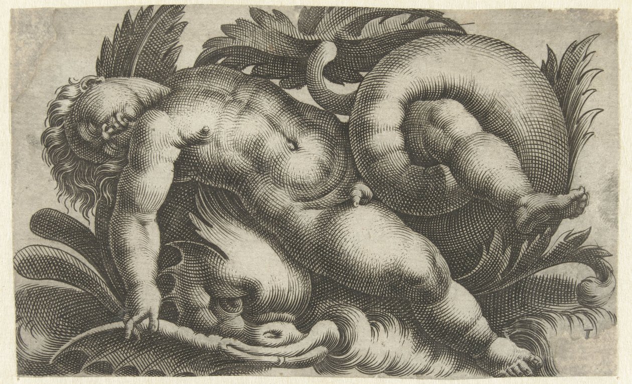 Nukkuva putto delfiinin päällä Putti merieläimillä (sarjan nimi) tekijältä Giovanni Andrea Maglioli