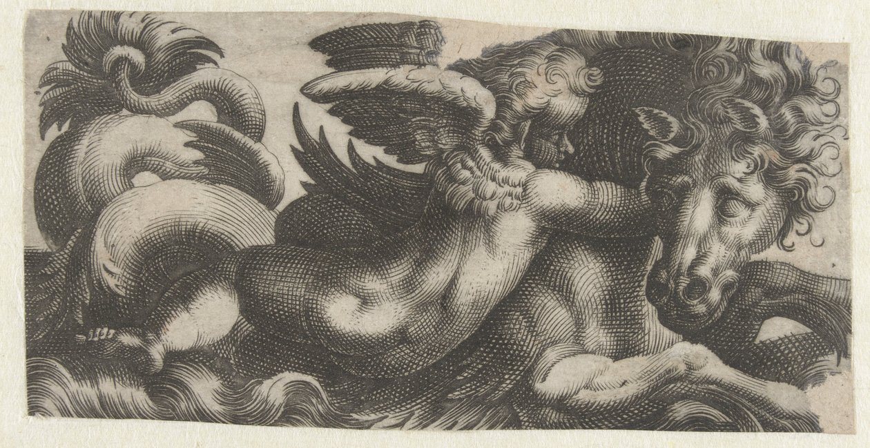 Merihevonen putto kaulassa Friisiläiset merihirviöiden kanssa (sarjan nimi) tekijältä Giovanni Andrea Maglioli