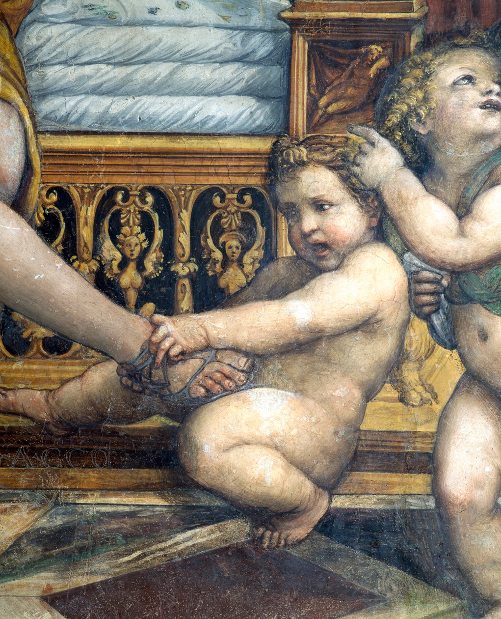 Sala delle Nozze di Alessandro e Rossana Aleksanteri Suuren avioliiton sali 356-323 eKr. ja Roxannen avioliiton sali yksityiskohta putto vetämässä Roxannen jalkaa, n.1513 fresko yksityiskohta 107228 tekijältä Giovanni Antonio Bazzi Sodoma