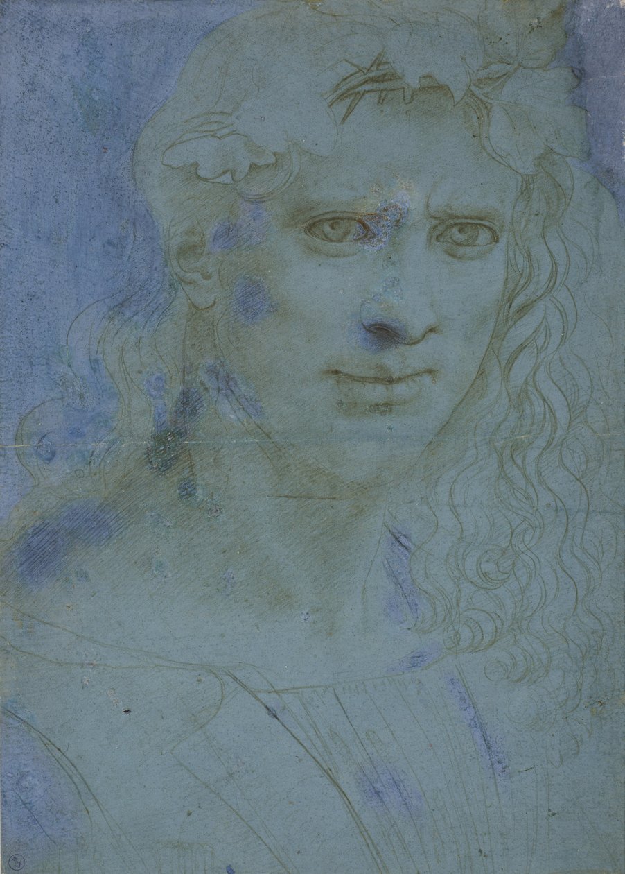 Nuorten rintakuva, joka on kruunattu piikillä ja viiniköynnösten versoilla, n. 1495 (metallikärki sinisellä valmispaperilla) tekijältä Giovanni Antonio Boltraffio
