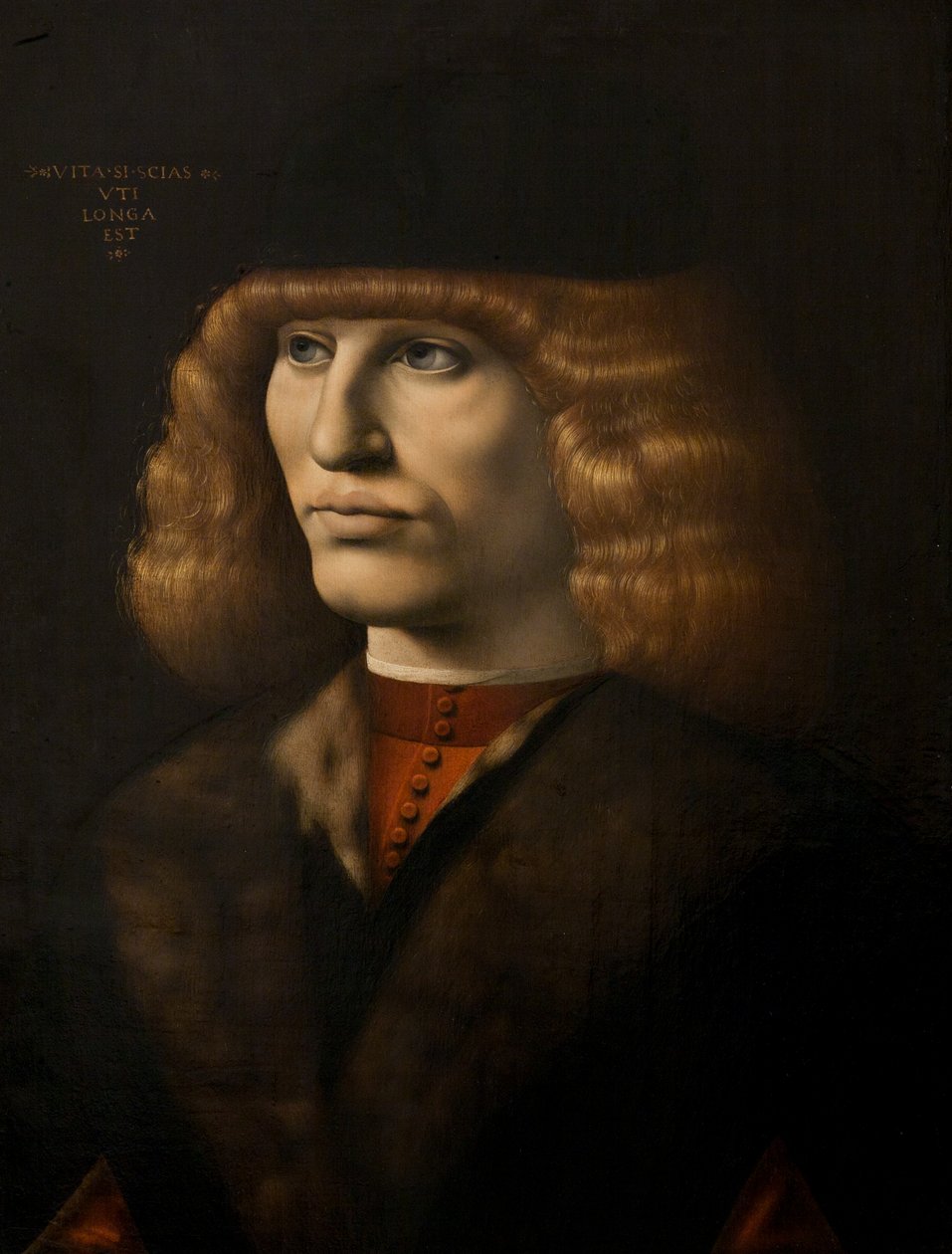 Nuoren miehen muotokuva, n.1500 (öljy paneelille) tekijältä Giovanni Antonio Boltraffio