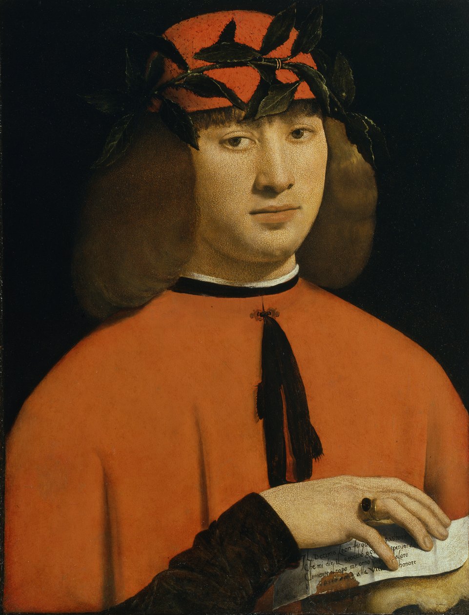 Nuoren miehen muotokuva, n. 1500 (öljy paneelille) tekijältä Giovanni Antonio Boltraffio
