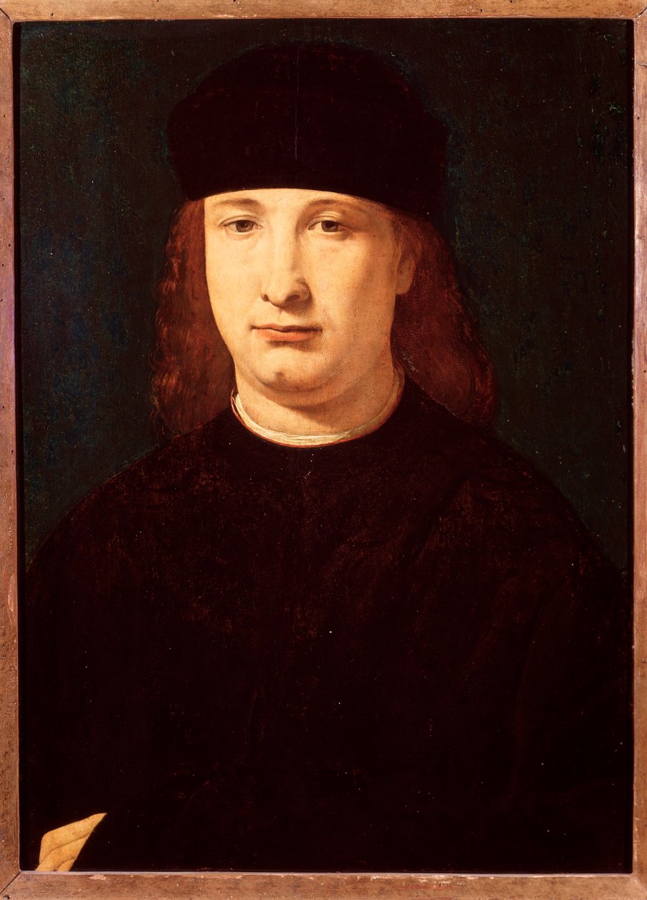 Italialaisen runoilijan Girolamo Casion muotokuva (öljy puulle, n. 1500-1520) tekijältä Giovanni Antonio Boltraffio