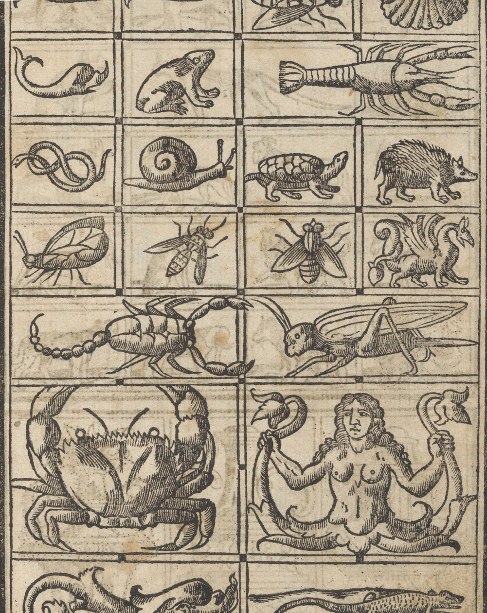 Esimerkki recammista, sivu 11 recto, 1530. tekijältä Giovanni Antonio Tagliente