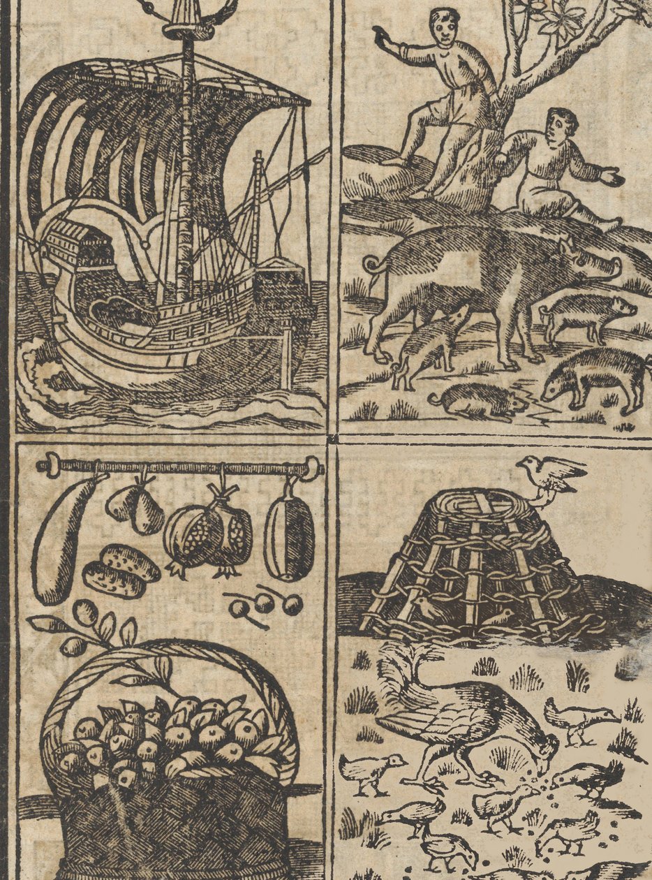 Esimerkki recammista, sivu 9 recto, 1530. tekijältä Giovanni Antonio Tagliente