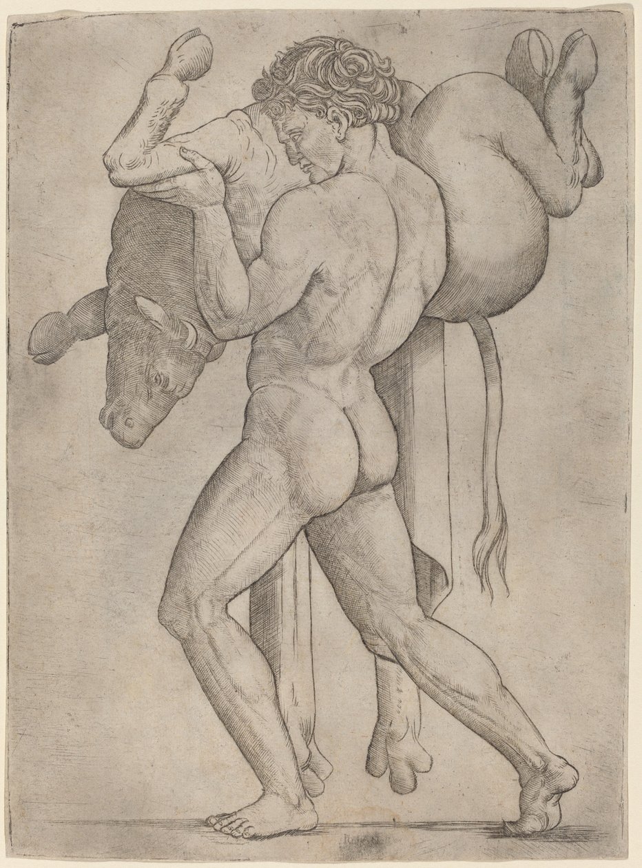 Herkules ja Kreetan härkä tekijältä Giovanni Antonio da Brescia