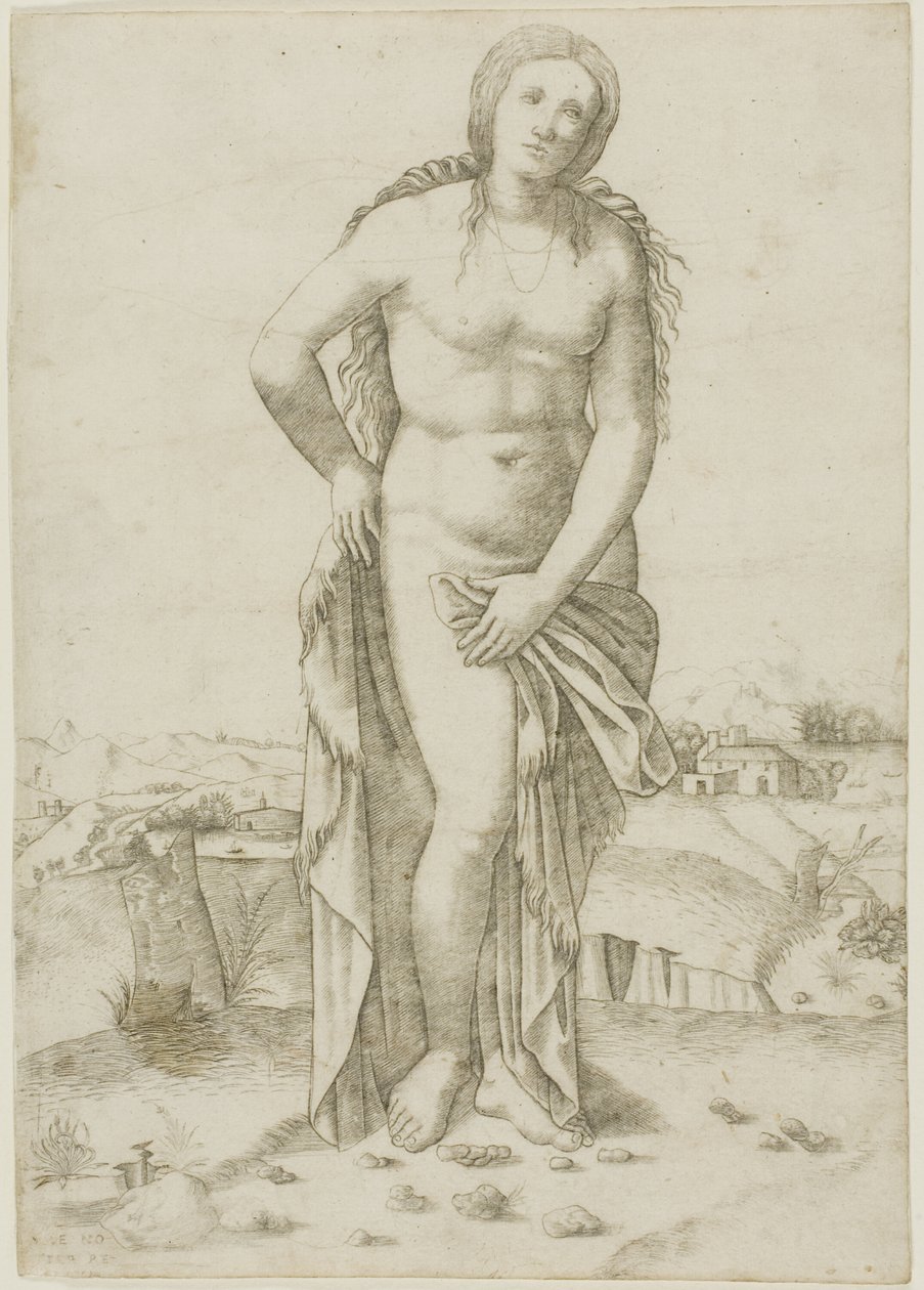 Venus tekijältä Giovanni Antonio da Brescia