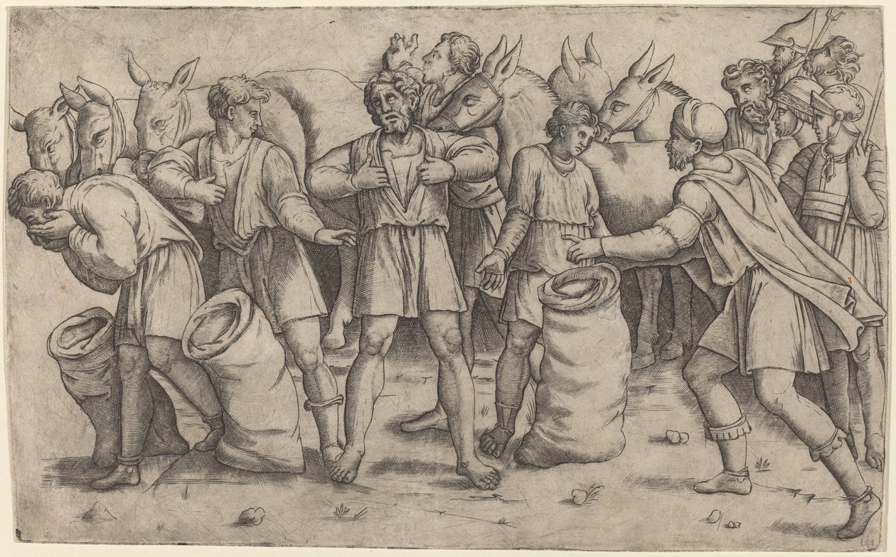 Descobriment de Joseph