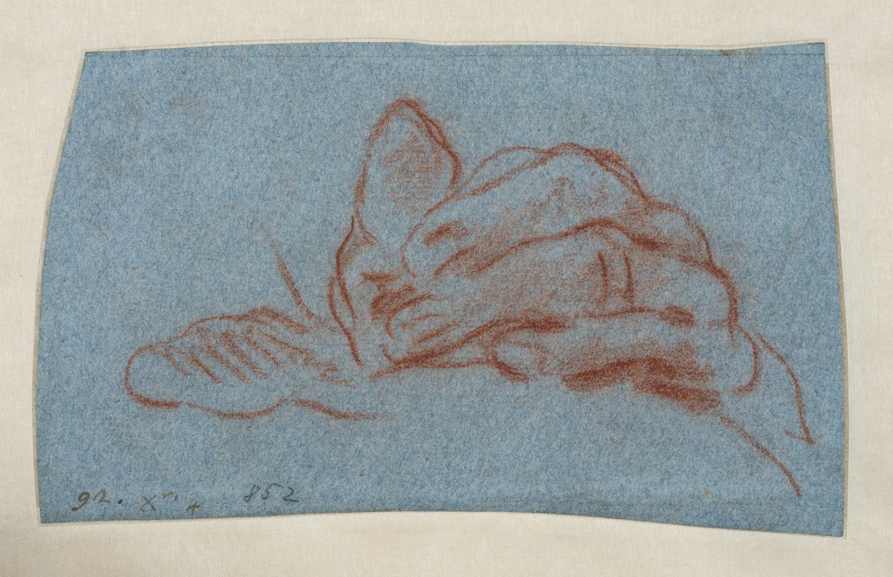 Tutkimus vasemmasta kädestä, n.1750-1754 (punaliitu ja tunkkaus siniselle liimapaperille). tekijältä Giovanni Battista (attr. to) Tiepolo
