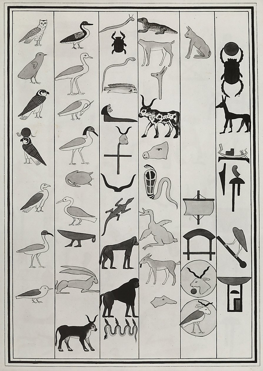 Piirustukset farao Psammetic I haudan sisältä olevista koristeista, Giovanni Battista Belzonin vuonna 1817 jäljentämä, Lontoon British Museumissa tekijältä Giovanni Battista Belzoni